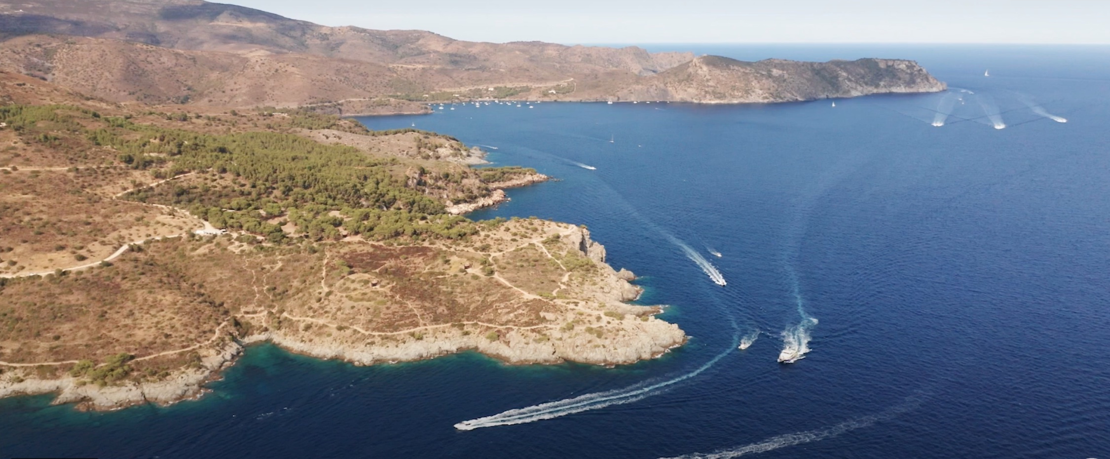 Video «Agents Rurals – Protegemos el fondo del mar»